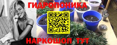 spice Можга