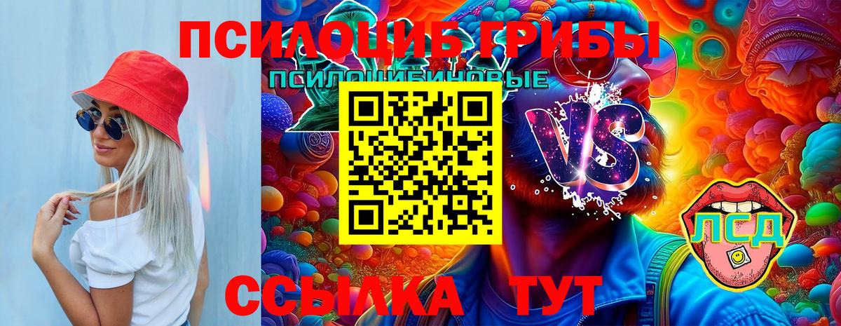 Псилоцибиновые грибы ЛСД Ставрополь