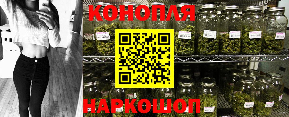 Шишки марихуана марихуана Ставрополь